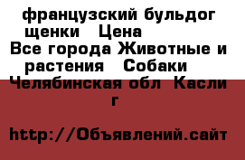 французский бульдог щенки › Цена ­ 50 000 - Все города Животные и растения » Собаки   . Челябинская обл.,Касли г.